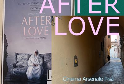 After Love – regia di Aleem Khan